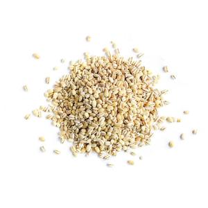 Orge naturelle récoltée pour l'alimentation animale – Céréales séchées pour la préparation de l'alimentation du bétail – Stock mondial en vrac pour l'exportation - Product Image 2