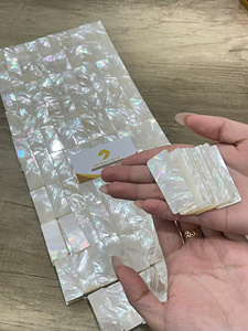 Wholesale Craft Supply of <b>Abalone</b> <b>Shell</b> Chips for Inlay in Jewelry Instruments and Art - CARYLN - Product Image 4