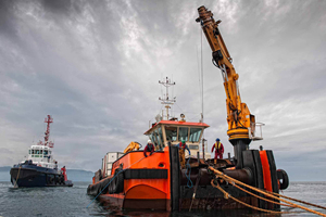 رافعة بحرية ثقيلة بحمولة 40 طن وارتفاع رفع عالي يصل إلى 25 متر للناقلات السائبة - Product Image 2