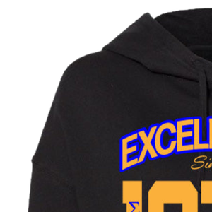 เสื้อฮู้ด Black Excellence Since 1922 สำหรับผู้หญิง ลายกรีก ตัวอักษรกราฟิก เสื้อสเวตเชิ้ตมีฮู้ด แขนยาว สไตล์ลำลอง สำหรับนักศึกษา - Product Image 4