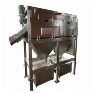 Machine automatique de lavage et de pelage du gingembre, équipement de transformation alimentaire en acier inoxydable, système de nettoyage et de pelage haute capacité - Product Image 3