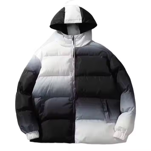 Blouson matelassé homme color block à capuche coupe-vent, manteau d'hiver standard, coupe droite, extérieur polyester, logo frontal, style urbain - Product Image 1