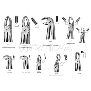 Forceps d'extraction dentaire professionnels pour molaires et incisives supérieures et inférieures, en acier inoxydable de qualité chirurgicale - Product Image 6