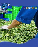 Poudre de feuilles de menthe poivrée et de pandan séchées naturelles, longue durée de conservation, pour colorant alimentaire et tisane, du Vietnam