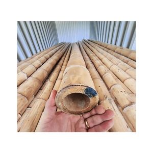Piquets en bambou de qualité supérieure, prix de gros abordable, poteaux droits robustes et durables, approvisionnement en vrac direct usine Asie - Product Image 1