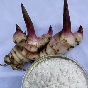 Poudre d'amidon d'arrowroot biologique de qualité supérieure, goût naturel, pour aliments et ingrédients, emballée en sac, provenant du Vietnam - Product Image 1