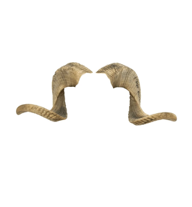 Buffalo Decorative Horn Item Professional Supply Buffalo Horn <b>Decoration</b> Crafts Personalized Logo <b>Decoration</b> Showpieces - Product Image 2