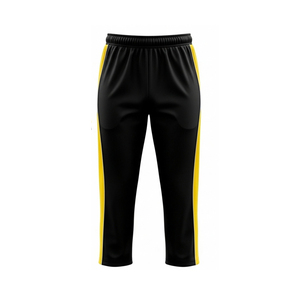 Maillot de cricket professionnel à séchage rapide en tissu sublimé, kit d'équipe personnalisé avec logo sur mesure - Product Image 4