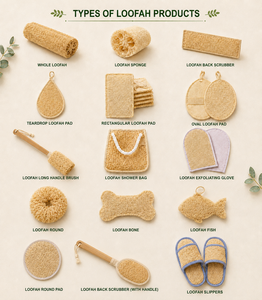 Éponge de bain en loofah naturelle très vendue, écologique, biodégradable, exfoliant corporel de haute qualité - Product Image 5