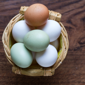 Œufs de poulet frais de première qualité, œufs de ferme élevés en plein air, naturels, sains, riches en protéines, idéaux pour la maison et la restauration, en vente - Product Image 1