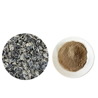 Boisson santé Heimuer en poudre de champignons noirs