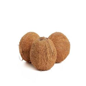 มะพร้าวรสชาติธรรมชาติ พร้อมตัวอย่างทดลองฟรี - Product Image 3