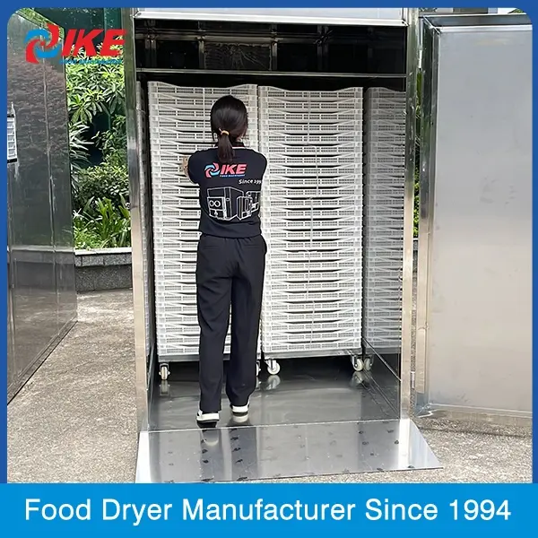 Commercial food drying machine can be fruit and vegetables shrimp dryer