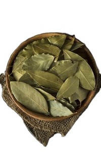 Feuilles de corossol vietnamien séchées au soleil de qualité supérieure, pur bio et aromatique, soigneusement sélectionnées pour une exportation saine - Product Image 6