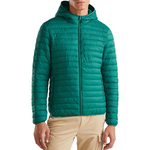 Men's Teal Hooded Puffer <b>Jacket</b> Windproof Casual <b>Winter</b> Polyester Zipper Coat Regular Fit Custom OEM ODM Wholesale - Product Image 1