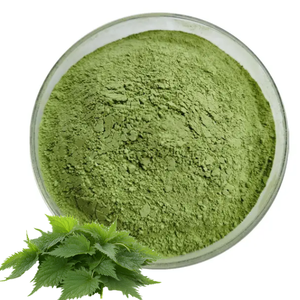 Poudre de feuilles d'ortie en gros, qualité alimentaire, pour applications alimentaires et boissons, poudre de feuilles d'ortie pure avec nutriments naturels - Product Image 1