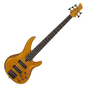 Bajo Eléctrico TRBX 605 MAM que Ofrece Tonos de Bajo Enriquecidos, Reproducción Rápida y Calidad de Sonido Profesional - Product Image 5