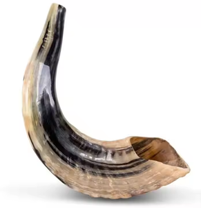 Shofar en corne de mouton 100% naturel, taille moyenne, inodore, poli, imperméable, style animalier - Product Image 4