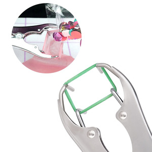 Instruments vétérinaires durables en acier inoxydable, ensemble d'outils pour les cliniques vétérinaires et les instruments de castration pour animaux d'élevage - Product Image 5