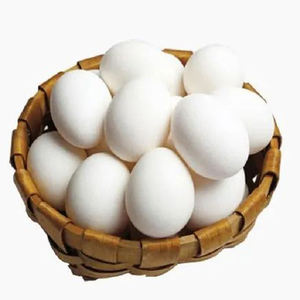 Fournisseur en gros d'œufs de poulet blancs naturels de qualité supérieure, œufs frais de ferme pour les supermarchés et les distributeurs de produits alimentaires - Product Image 3