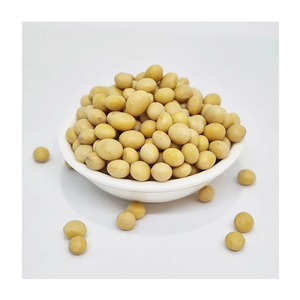 Gran Cantidad de Frijoles Amarillos Ofrecidos a Compradores y Comerciantes Profesionales de Alimentos - Product Image 2
