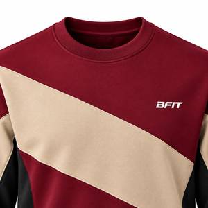 Sweat-shirt à col rond pour homme, de qualité supérieure, avec blocs de couleur, logo personnalisé brodé, écologique, décontracté, pour l'entraînement, vêtements de sport en coton - Product Image 2