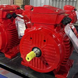 Moteur électrique triphasé AC en fonte, boîtier OEM standard IP55 IP56, classe de résistance à la chaleur C - Product Image 5