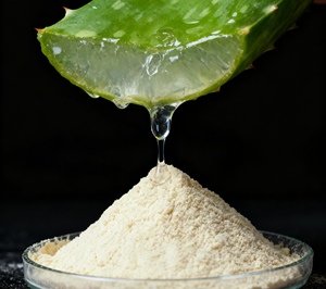 Poudre d'aloe vera à haute concentration 200X, directement de l'usine, pour la fabrication cosmétique professionnelle économique - Product Image 2