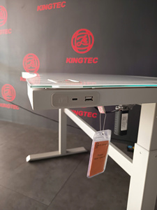 Electric Height Adjustable <b>Desk</b> Metal + Tempered Glass Top with LED light strip Type-C & USB for Home Office - Product Image 3