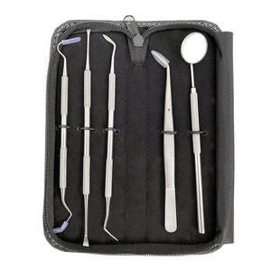 Juego de Instrumentos Dentales Manuales de Acero Inoxidable Grado A+ Reutilizables con Empuñadura Ergonómica Certificación CE Espejo de Pulido Explorer By Grip Surgical - Product Image 1