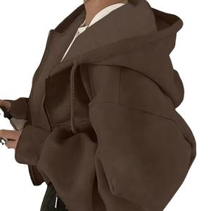 Customized Men's Heavyweight 100% Cotton Pullover Hoodie Oversized Logo <b>Plain</b> Color Hooded Collar High Quality Men's <b>Sweatshirts</b> - Product Image 1