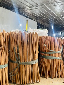 อบเชยแท่งยาวเวียดนามธรรมชาติ/อบเชย/ดารูชินี – รสชาติเข้มข้น มาตรฐานส่งออก WA84362512699 - Product Image 2