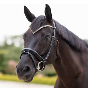 Bridon de cheval réglable en cuir durable avec rênes respirantes, équipement équestre noir, fabriqué en usine pour chevaux Cob - Product Image 3