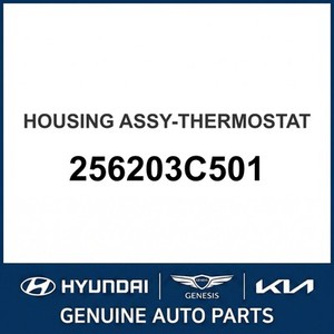 Termostatos y Carcasas Nuevos Borrego 256203C501 - Product Image 1