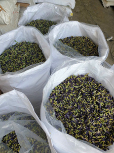 Pétalos de Rosa Secos Naturales, Flores para Té de Hierbas, Fabricante de Vietnam, Suministro al por Mayor para Exportación - Product Image 5