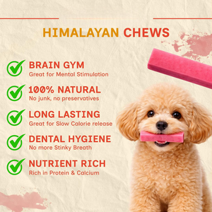 Friandises pour chiens au fromage de yak de l'Himalaya naturel, à haute teneur en protéines, sans gluten, sans céréales, saveur fraise, longue durée, OEM ODM - Product Image 5