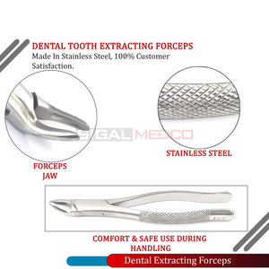 Manual German Stainless Steel Extracting Forceps 101 for Upper Lower Bicuspids Deciduous Teeth Universal Dental Extraction - Product Image 5