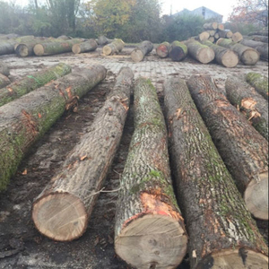 Gabon Origin African Hardwood Timber Bulk Wholesale Supplier for Importers Exporters <b>Builders</b> and Traders - Product Image 1