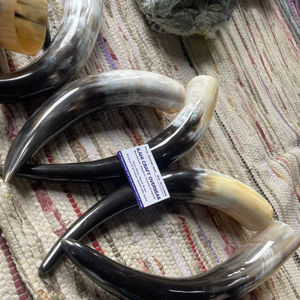 Paire de cornes de bison polies, décoration murale, design Art Déco, grande taille de 10 à 18 pouces, pour mariage, anniversaire - Product Image 1