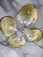 Plateau de service décoratif moderne de luxe en nacre naturelle faite à la main pour la présentation de bijoux et de bibelots, décoration intérieure