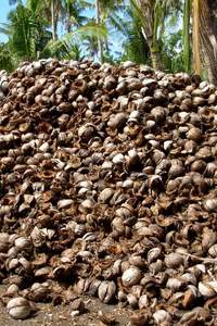 Vietnam Écologique Haute Rétention Biodégradable Coco Coco Tourbe Briques Prêt à l'Emploi Média de Culture à Prix Compétitif - Product Image 6