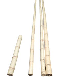 Strong <b>Thick</b> <b>Bamboo</b> <b>Poles</b> for Landscaping Borders and Structural Use Eco-Friendly Raw Materials Product - Product Image 1