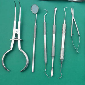 Pinza Palmer para Dique de Goma 17cm, Instrumentos Endodónticos de Acero Inoxidable de Alta Calidad, Fórceps Dentales Rectos Brewer Dentavex CE - Product Image 4