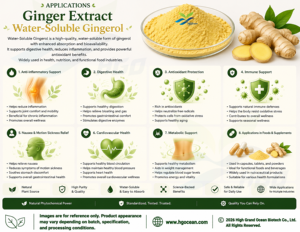 Extrait de gingembre pur naturel HGO (qualité alimentaire) soluble dans l'eau, Gingérol 1% (Extrait standardisé) – Approvisionnement direct usine - Product Image 3