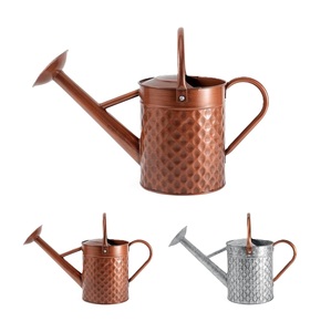 New Look Golden Finished Iron Watering Can for Outdoor Garden Farm <b>House</b> Plants Holder Easy Pour water Cans Handmade - Product Image 4