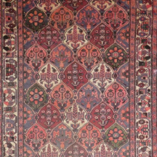Multicolore