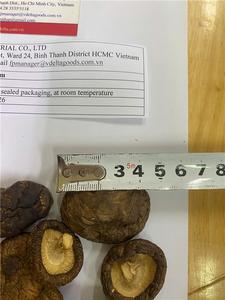 HIGH QUALITY VIETDELTA Dried Shiitake Mushroom 10kg Cultivated Natural Flavor Enhancer for Restaurant & Food Industry - Product Image 5