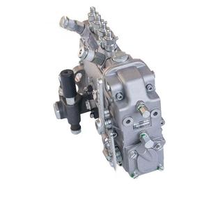 D7002 1111100A 493 B4A71D 191000 210001 10 Pièces de moteur diesel pour machines chinoises Pompe d'injection de carburant - Product Image 6