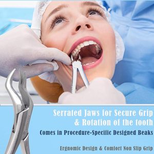 Forceps d'extraction dentaire manuels en acier inoxydable de haute qualité, forceps d'extraction pédiatriques Cowhorn, CE - Product Image 4