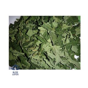 ใบมะละกอแห้งพรีเมียม คุณภาพดี อบแห้งอย่างสมบูรณ์แบบ เหมาะสำหรับชงชาและสกัด ช่วยเพิ่มรสชาติและเหมาะสำหรับการใช้ในชีวิตประจำวัน - Product Image 1